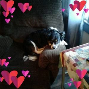 Meet your Posher, Shelia